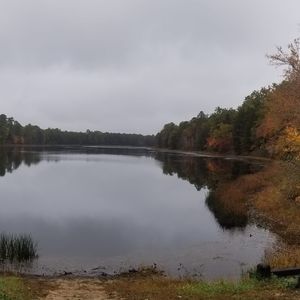 Meet your Posher, Suzanne